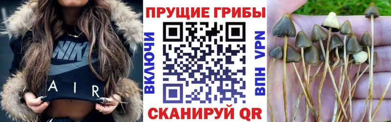 Купить  Ставрополь  Псилоцибиновые грибы прущие грибы 